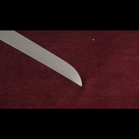 High Carbon Steel Cyberpunk Sword – Martial Arts, Cosplay, and Display

