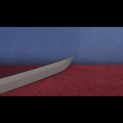 Hand-Forged Cyberpunk 2077 Katana with Hardwood Saya and Genuine Rayskin Handle

