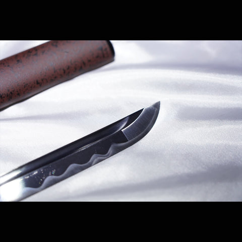 Hand Forged Japanese Iaito Practice Sword Stainless Steel Full Tang Iron Tsuba Unsharpened-COOLKATANA-ZS-0092-U