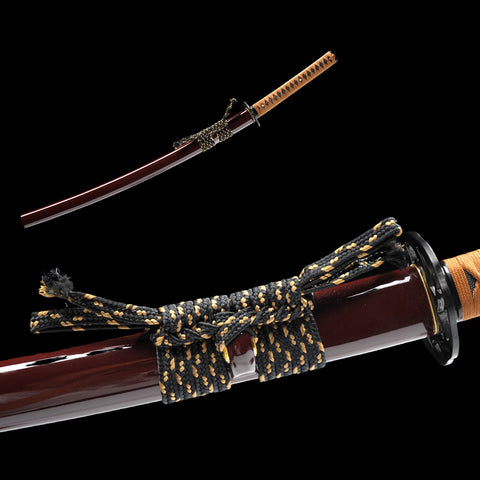 Hand Forged Japanese Wakizashi Sword 1095 High Carbon Steel Blade Full Tang-COOLKATANA-SL-1241-U