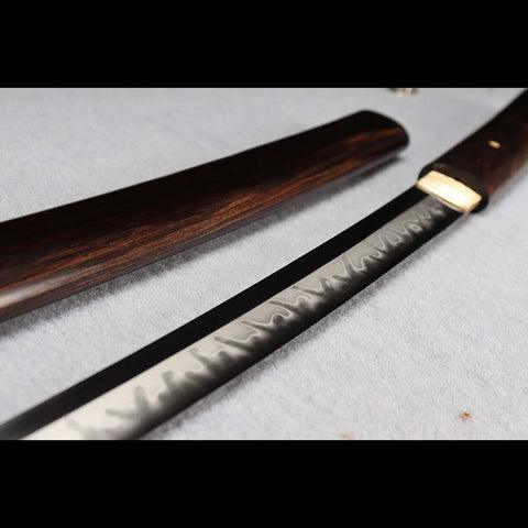 Handmade Japanese Shirasaya Sword, Ronin Sword 1095 High Carbon Steel, Full Tang Ebony Saya-COOLKATANA