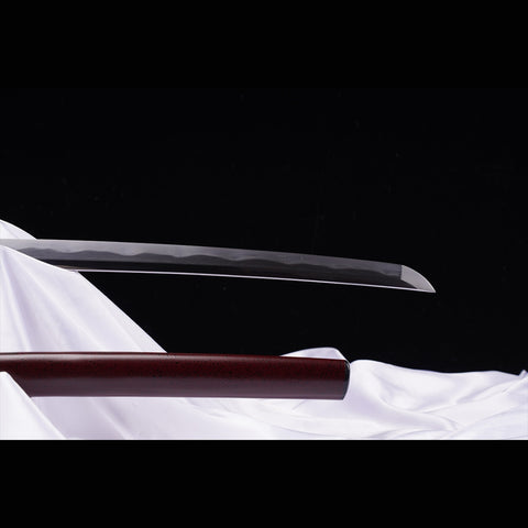 Hand Forged Japanese Samurai Katana Sword Folded Steel Sashikomi A+ Polishing Grade Full Tang-COOLKATANA-ZS-0001-1-U