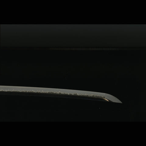 Hand Forged Japanese Samurai Sword 1095 High Carbon Steel Sashikomi A+ Polishing Grade Water Quenching-COOLKATANA-ZS-0023-U