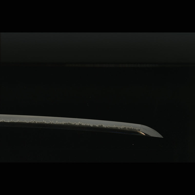 Hand Forged Japanese Samurai Sword 1095 High Carbon Steel Sashikomi A+ Polishing Grade Water Quenching - COOLKATANA 