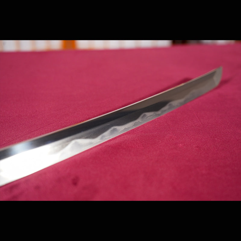 Hand Forged Japanese Samurai Katana Sword Folded Steel Sashikomi A+ Polishing Grade Full Tang - COOLKATANA 