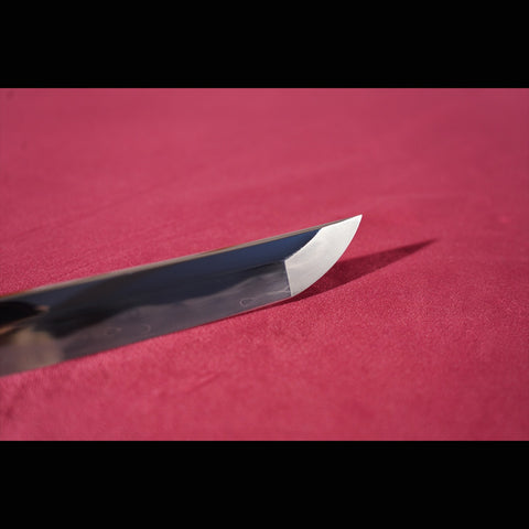 Hand Forged Japanese Samurai Katana Sword Folded Steel Sashikomi A+ Polishing Grade Full Tang-COOLKATANA-ZS-0001-1-U
