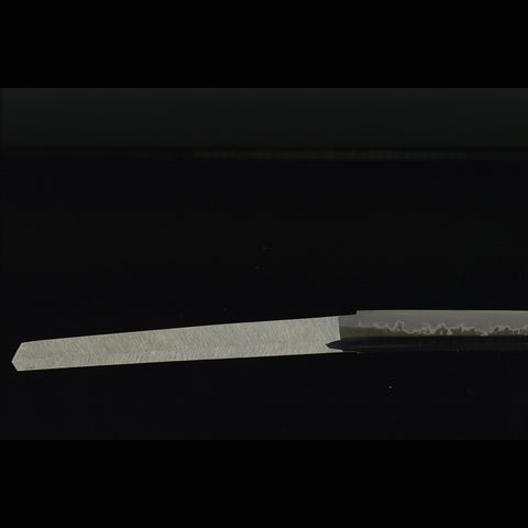 Hand Forged Japanese Samurai Sword 1095 High Carbon Steel Sashikomi A+ Polishing Grade Water Quenching-COOLKATANA-ZS-0023-U