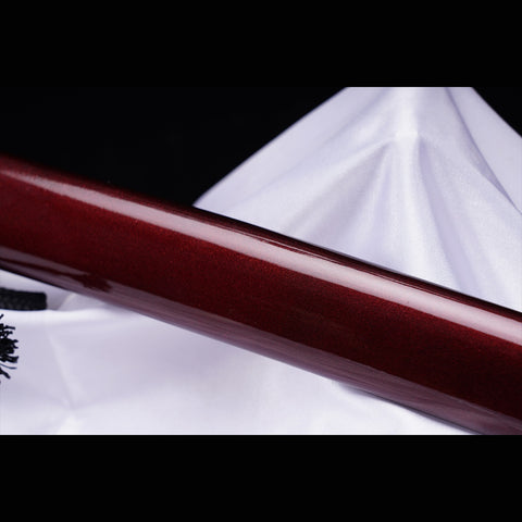 Hand Forged Japanese Samurai Katana Sword LD Steel Blade Vacuum+Cryogenic Iron Tsuba-COOLKATANA-ZS-0012-U
